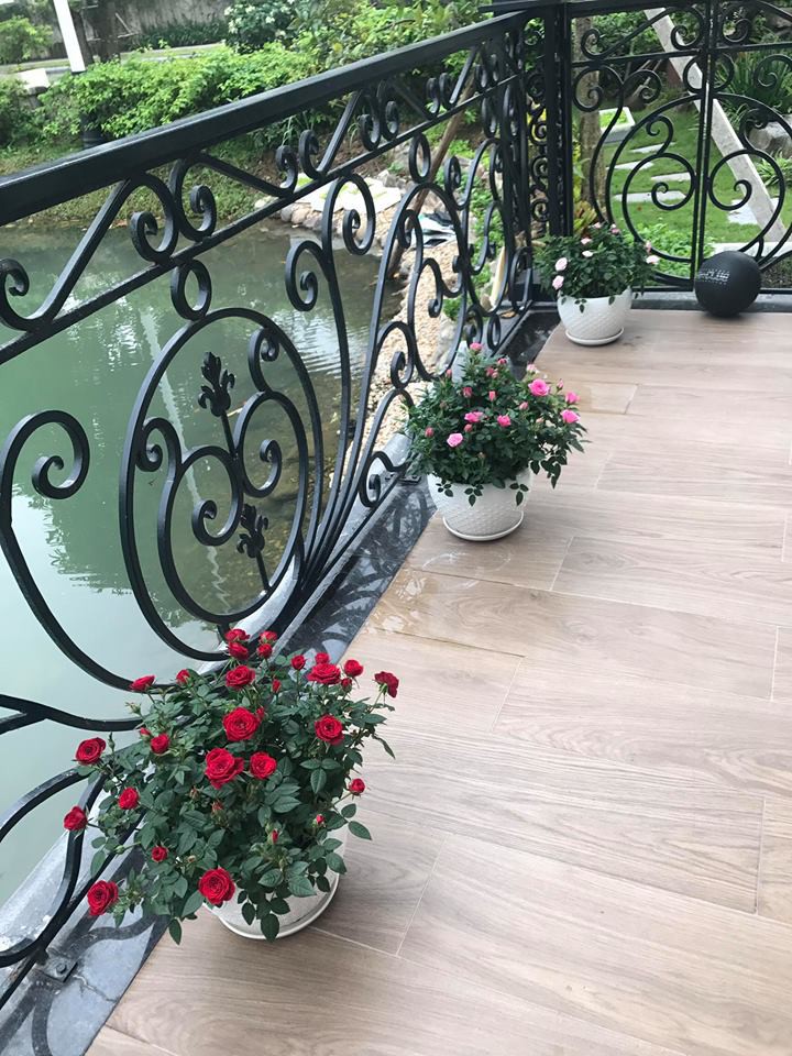 Vợ đại gia kim cương khoe clip mèo cưng ngộ nghĩnh, vô tình để lộ biệt thự đẹp như trong mơ-2