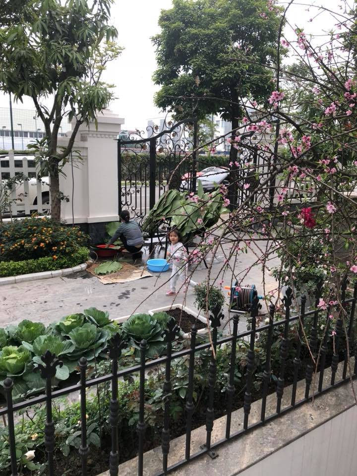 Vợ đại gia kim cương khoe clip mèo cưng ngộ nghĩnh, vô tình để lộ biệt thự đẹp như trong mơ-11