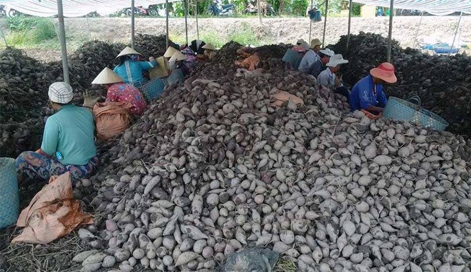 Nỗi lo Trung Quốc và lá đơn cầu cứu: Rơi nước mắt đến bao giờ-1