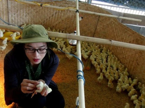 9X thôi lang thang về làng nuôi bạt ngàn gà trên cát, lãi 25 triệu/tháng-7