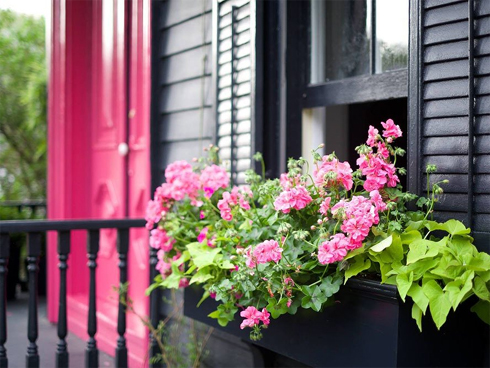 Quý bà váy ngắn ngồi sau vô-lăng, thầy dạy lái xe tái mặt-5