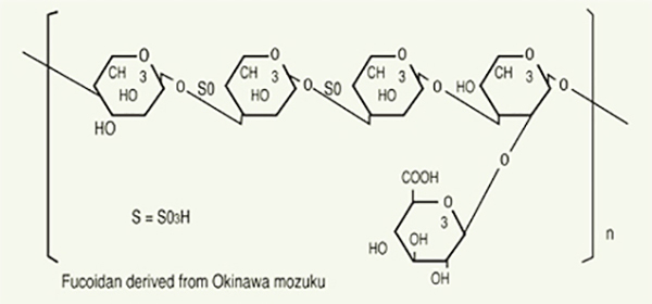 Cuốn sách tâm huyết từ 30 năm nghiên cứu bệnh ung thư-2