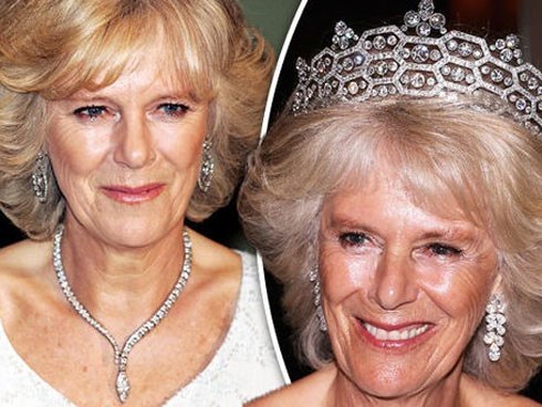 Người hâm mộ dậy sóng trước tin Nữ hoàng Anh ngầm chuyển giao quyền lực cho Charles, bà Camilla sẽ lên ngôi hoàng hậu