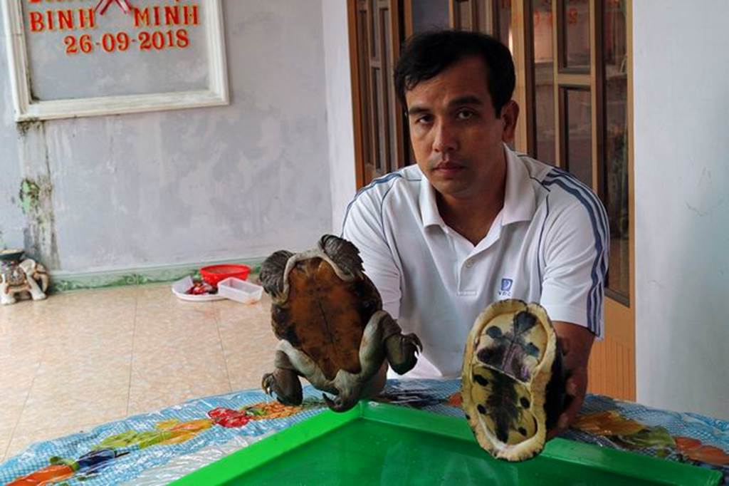 Xuất hiện quái vật rùa siêu dị ở Tiền Giang, dân ầm ầm tới xem-6