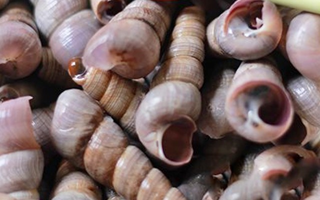 Sán bò lúc nhúc trong phổi nam thanh niên khiến ai cũng kinh hãi: Chuyên gia cảnh báo loại đồ ăn gây chứng bệnh này-3