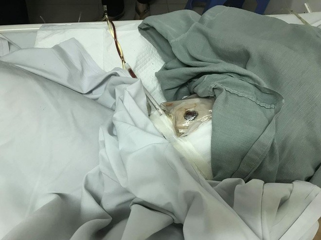 Vợ tài xế taxi sợ hãi kể lại giây phút chồng bị người ngồi trong xe Mazda bắn-4