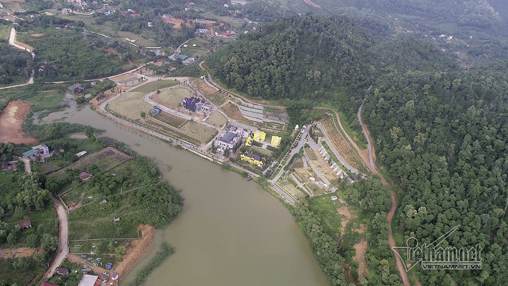 Bí ẩn những ngôi biệt thự trắng sâu trong rừng thông-1