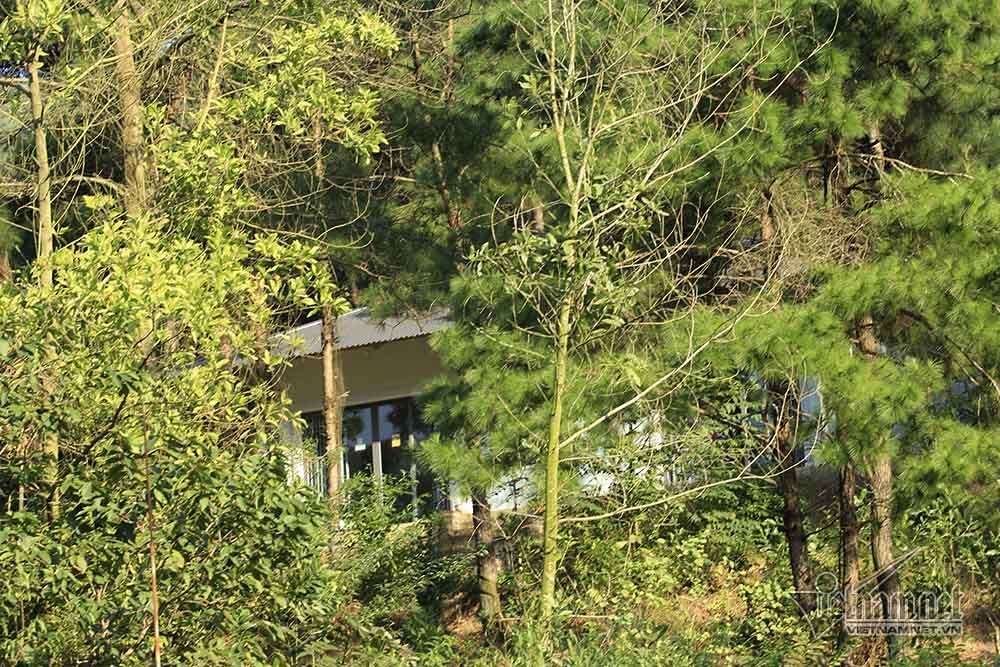 Bí ẩn những ngôi biệt thự trắng sâu trong rừng thông-2