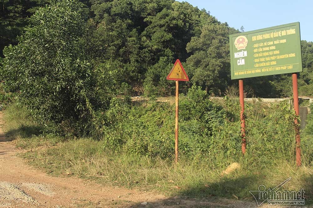 Bí ẩn những ngôi biệt thự trắng sâu trong rừng thông-5