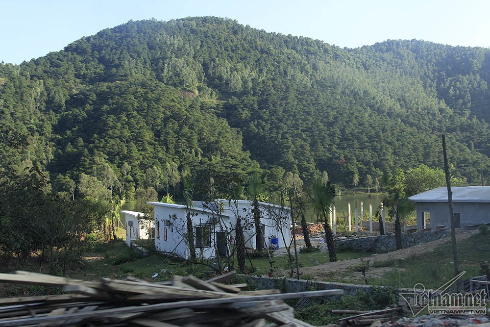 Bí ẩn những ngôi biệt thự trắng sâu trong rừng thông-11