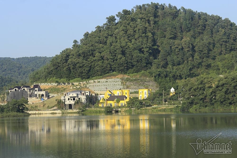 Bí ẩn những ngôi biệt thự trắng sâu trong rừng thông-12