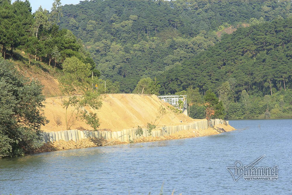 Bí ẩn những ngôi biệt thự trắng sâu trong rừng thông-14