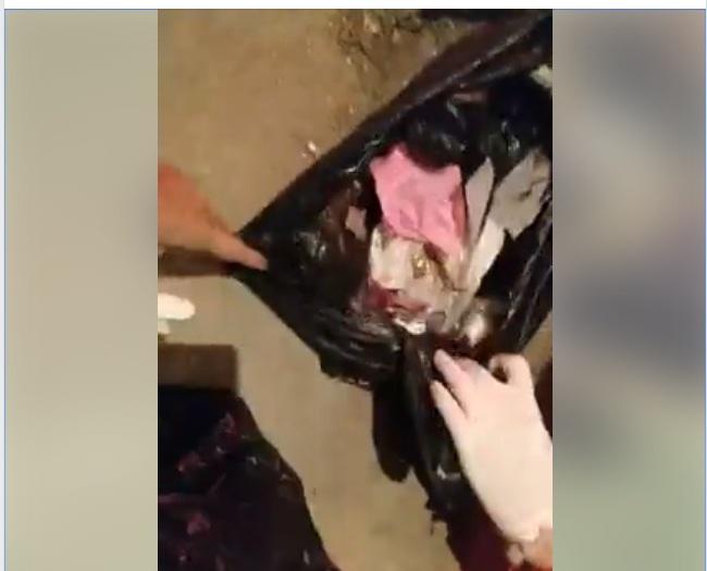 Chàng sinh viên 2 năm nhặt hơn 3.000 xác hài nhi: Có người nghĩ chúng tôi buôn ma túy-1