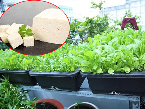 Bỏ chuối và trứng xuống hố mẹ trẻ nhận cái kết bất ngờ sau 2 tuần-5