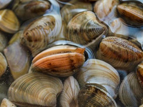 Hến xào giản dị dân dã mà hễ ăn là không ai có thể quên-2