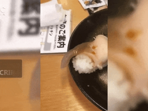 Nhà hàng Nhật Bản phục vụ sushi vẫn còn ngọ nguậy chơi đùa với thực khách làm dân mạng phát khiếp
