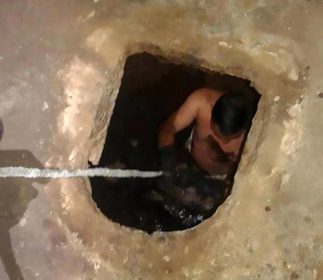 Nghe tiếng khóc kỳ lạ trong bể phốt, người phụ nữ sốc nặng với cảnh tượng bên dưới-1