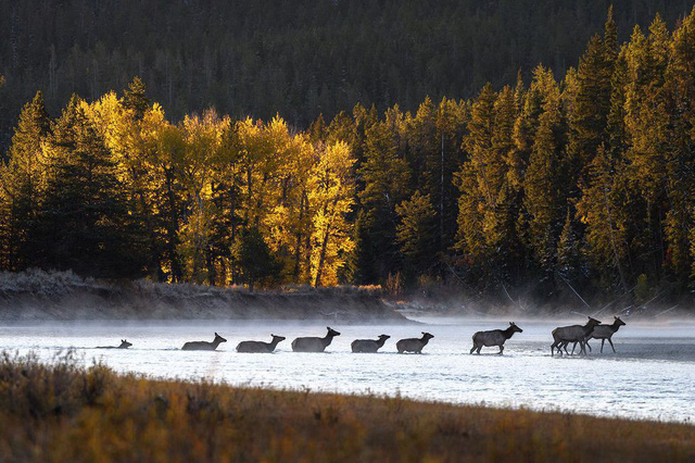 Sắc thu mơ màng ngập tràn khắp nơi trên thế giới-6