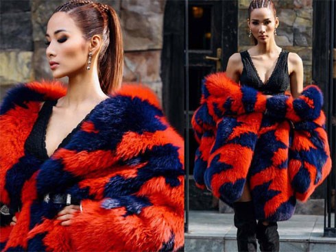 Chưa rét nhưng hàng loạt sao Việt đã