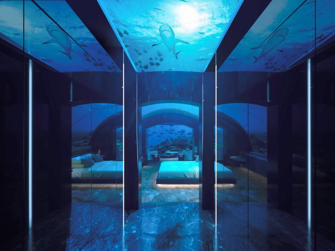 Bên trong khách sạn dưới biển đầu tiên trên thế giới, nơi bạn có thể ngủ cạnh cá mập với chi phí 1 tỷ/1 đêm-6