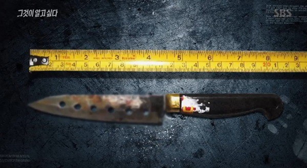 Thi thể nữ sinh trên sườn núi Busan mở ra vụ án mạng với những chi tiết đáng ngờ 17 năm vẫn chưa tìm ra lời giải-3