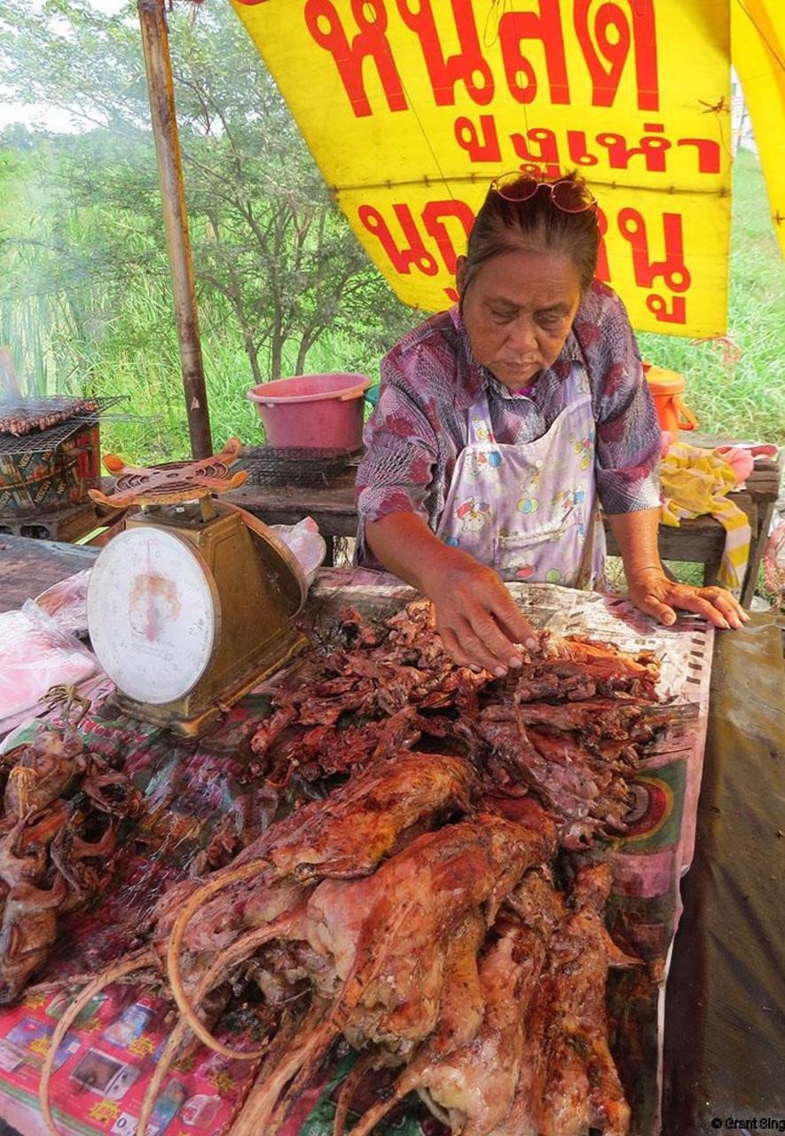 Thịt chuột món ngon thượng hạng: Điều khẳng định ở nhiều nước trên toàn cầu-4