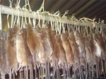 Ở nơi thịt chuột được coi là đặc sản tuyệt đỉnh kungfu còn phổ biến hơn gà hay lợn-6