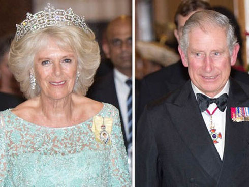 Người hâm mộ lên tiếng về khoảnh khắc kém duyên của bà Camilla khi ở bên cạnh chồng, thua kém so với con dâu Meghan-3