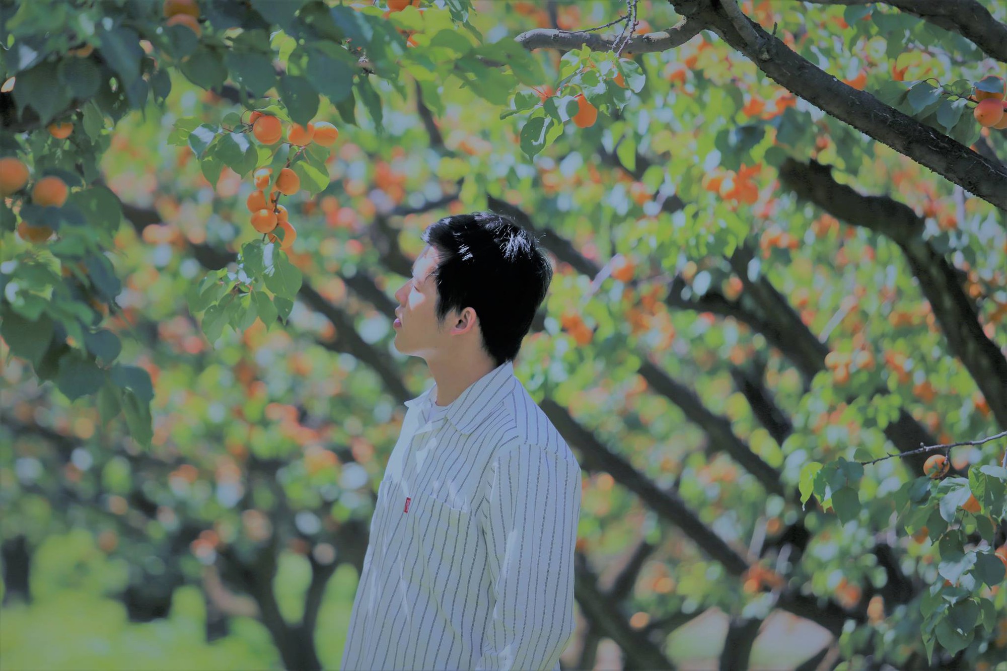 Sinh viên ngành Y Dược hot đến mức độ nào: Kẻ là nam thần chốn bệnh viện, người là hotgirl du học sinh tốt nghiệp GPA 4.0 tại Mỹ-11