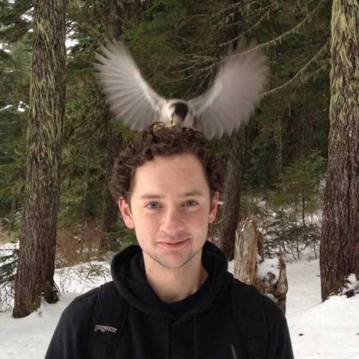 20 bức hình bắt trúng khoảnh khắc trùng hợp: từ xuất thần đến những sự cố muối mặt-10