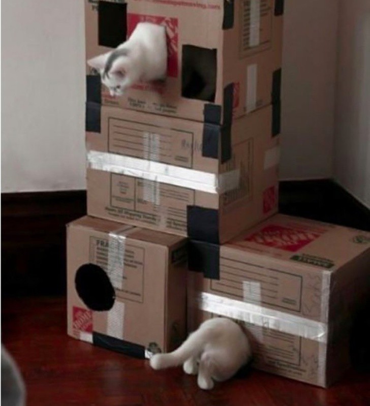 20 bức hình bắt trúng khoảnh khắc trùng hợp: từ xuất thần đến những sự cố muối mặt-13