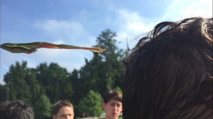 20 bức hình bắt trúng khoảnh khắc trùng hợp: từ xuất thần đến những sự cố muối mặt-18