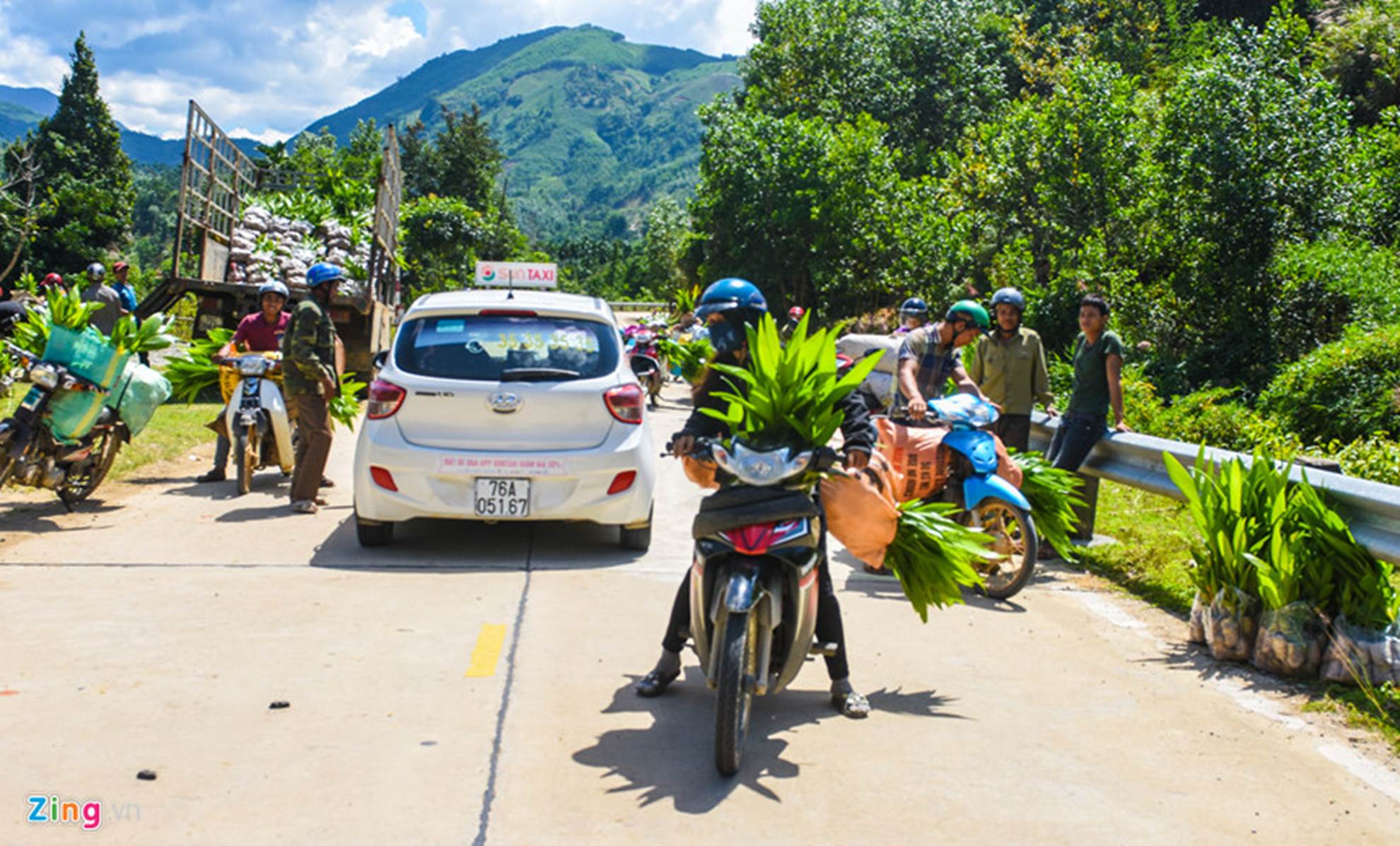 Xứ sở ngàn cau mang lại tiền tỷ ở miền Trung-14