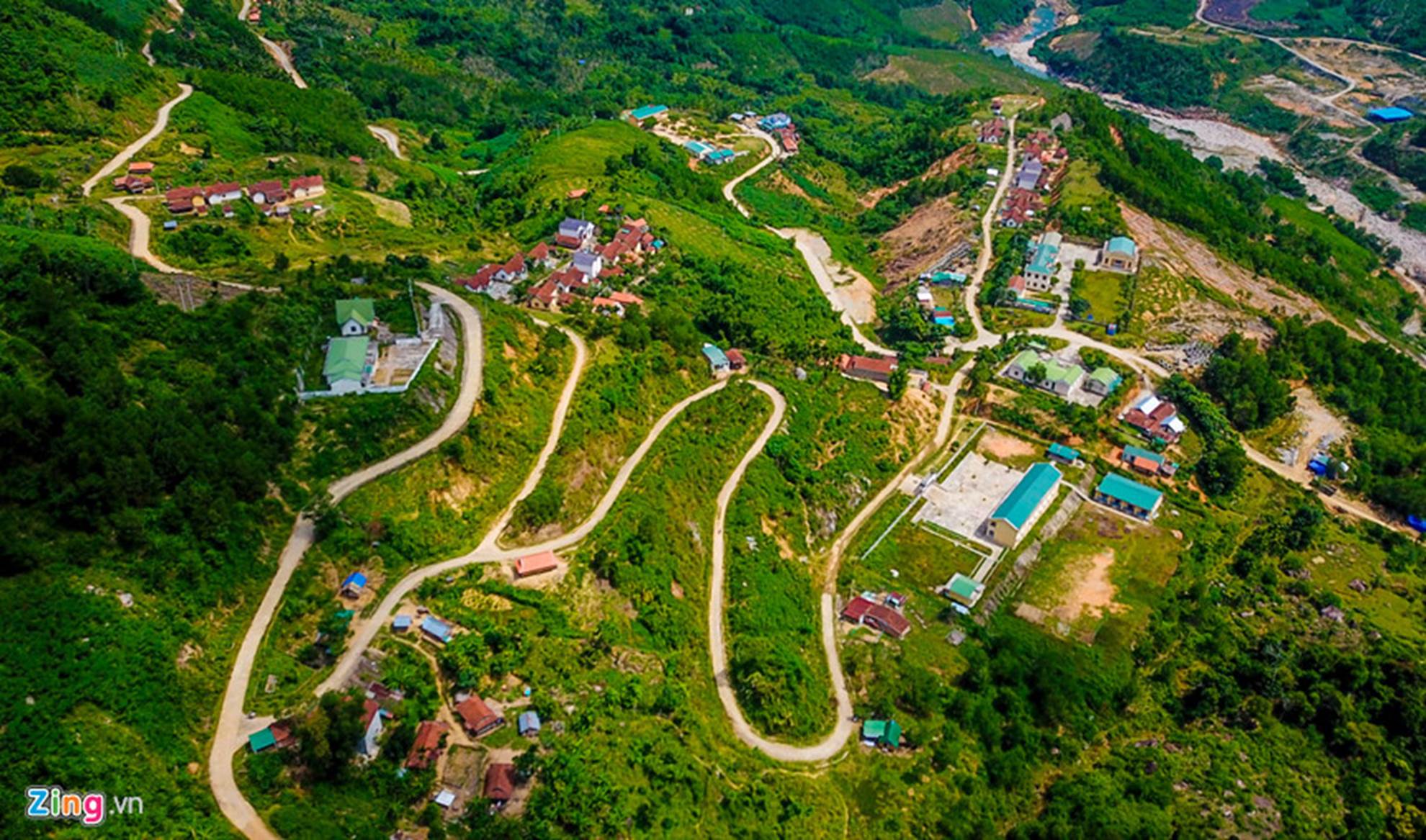 Xứ sở ngàn cau mang lại tiền tỷ ở miền Trung-2