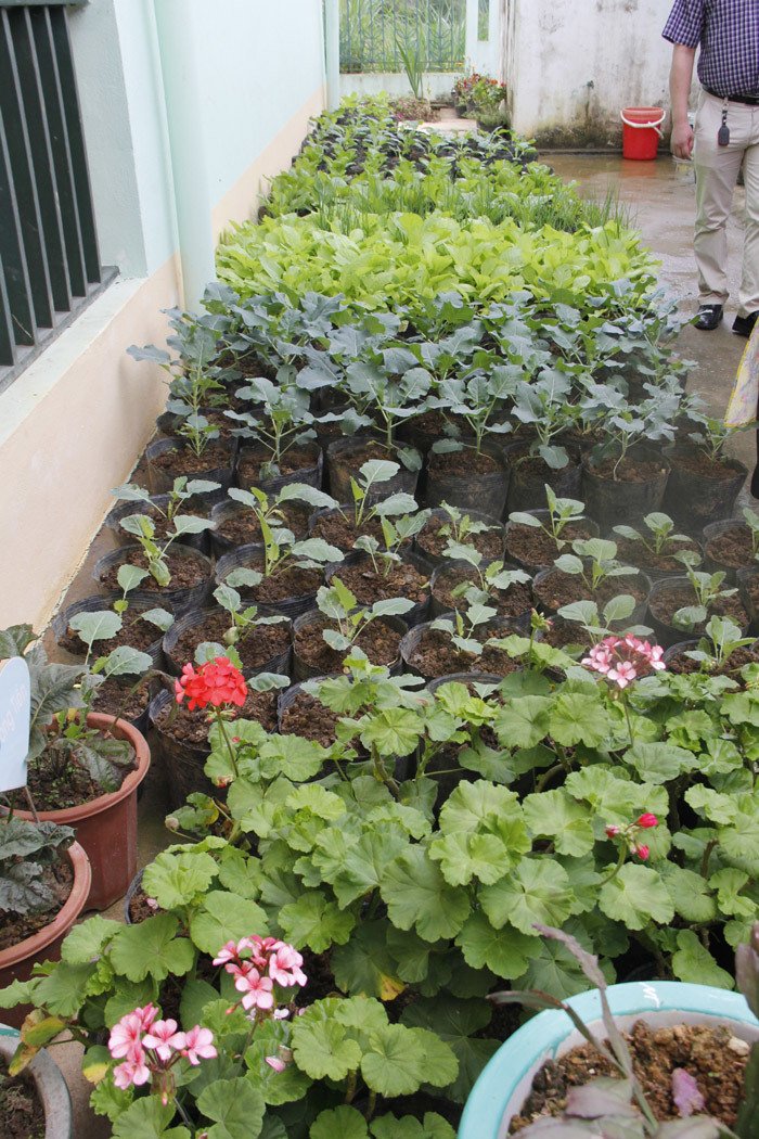 Ngôi trường nằm bên sườn núi khiến ai cũng ngỡ ngàng khi ghé thăm-8