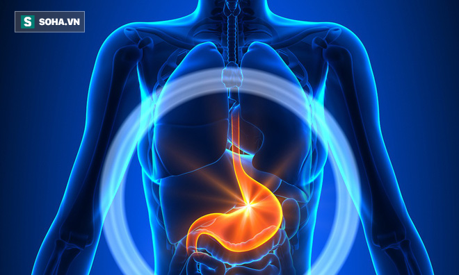 3 thời điểm vàng để chăm sóc dạ dày, tim và mạch máu: Nếu muốn khỏe hãy áp dụng ngay!-1