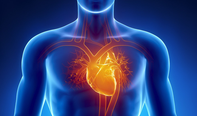 3 thời điểm vàng để chăm sóc dạ dày, tim và mạch máu: Nếu muốn khỏe hãy áp dụng ngay!-2