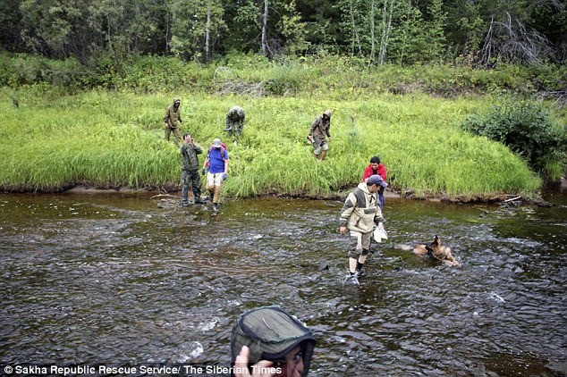 Âm thầm đi theo bố vào rừng rồi bị lạc, bé gái 4 tuổi sống sót trở về sau 12 ngày nhờ chú chó trung thành sưởi ấm mỗi đêm-3