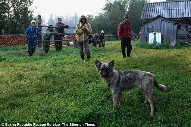Âm thầm đi theo bố vào rừng rồi bị lạc, bé gái 4 tuổi sống sót trở về sau 12 ngày nhờ chú chó trung thành sưởi ấm mỗi đêm-4