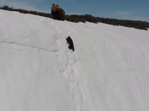 Kinh hãi cảnh sóng cao 12 m đánh sập ban công tầng 3 trong cơn bão dữ tợn-2