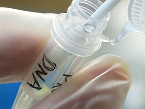 Chưa muốn lấy chồng, cô gái 27 tuổi mua tinh trùng về nhà làm một việc không thể ngờ