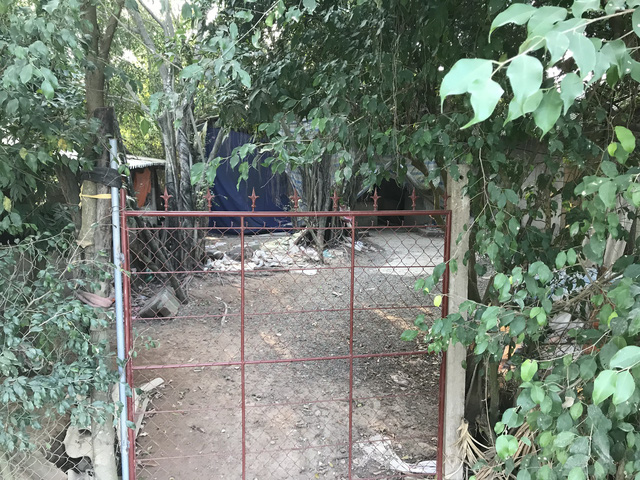 Bi kịch phía sau vụ chủ trang trại đâm chết tên trộm gà trong đêm-1