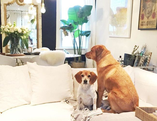 Đột nhập phòng ngủ trong tổ ấm bạc tỷ của Công nương Meghan Markle-10