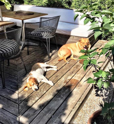 Đột nhập phòng ngủ trong tổ ấm bạc tỷ của Công nương Meghan Markle-13