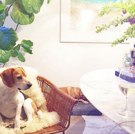 Đột nhập phòng ngủ trong tổ ấm bạc tỷ của Công nương Meghan Markle-16