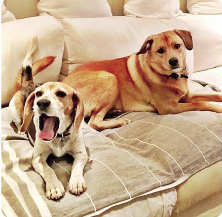 Đột nhập phòng ngủ trong tổ ấm bạc tỷ của Công nương Meghan Markle-17