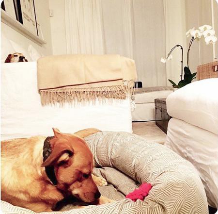 Đột nhập phòng ngủ trong tổ ấm bạc tỷ của Công nương Meghan Markle-4