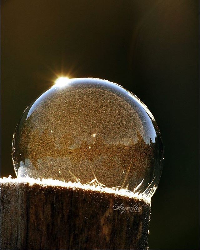 Những bức ảnh chứng minh Mẹ thiên nhiên luôn nắm giữ những bí mật bất ngờ và không bao giờ ngừng khiến chúng ta ngạc nhiên-12