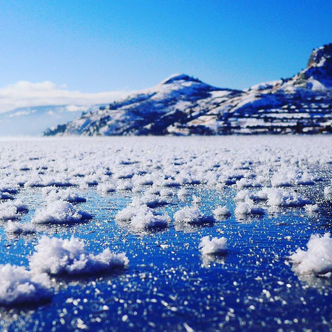 Những bức ảnh chứng minh Mẹ thiên nhiên luôn nắm giữ những bí mật bất ngờ và không bao giờ ngừng khiến chúng ta ngạc nhiên-16