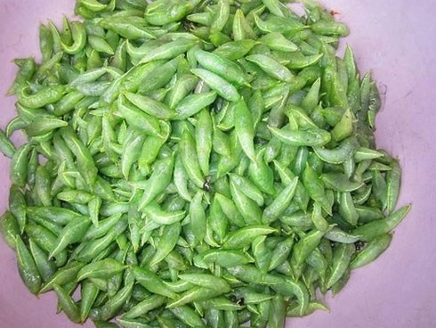 Mặc kệ mọi sự sợ hãi, người Tây Nguyên vẫn háo hức với đặc sản không ai dám ăn này